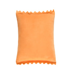 THE MONSTERS Wacky Mart Series-Pillow (Chips)